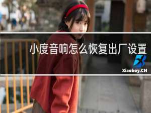 小度音響怎么恢復出廠設置