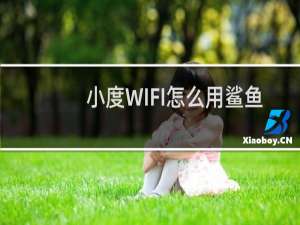 小度WIFI怎么用鲨鱼