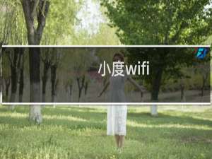 小度wifi 无线网卡模式