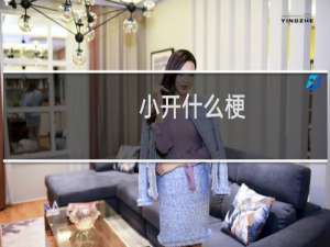 小开什么梗