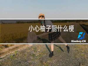 小心柚子厨什么梗