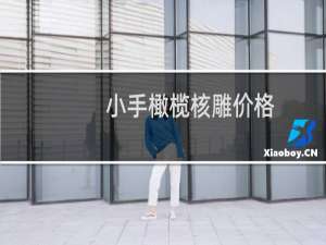 小手橄榄核雕价格