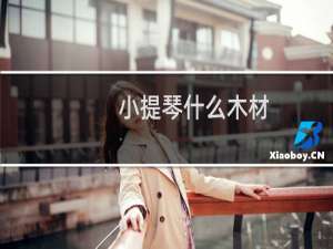 小提琴什么木材
