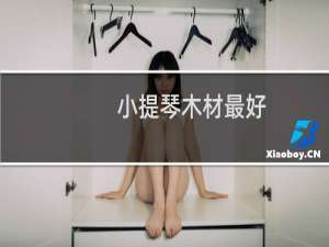 小提琴木材最好