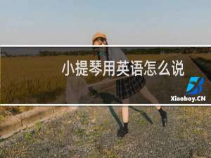 小提琴用英语怎么说