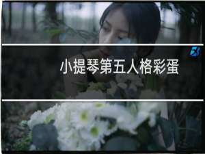 小提琴第五人格彩蛋