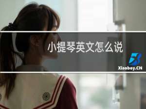 小提琴英文怎么说