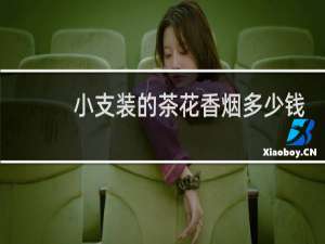 小支装的茶花香烟多少钱