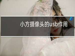 小方摄像头的usb作用