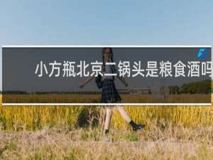 小方瓶北京二锅头是粮食酒吗