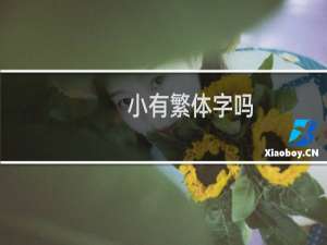 小有繁体字吗
