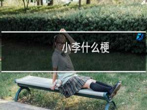 小李什么梗