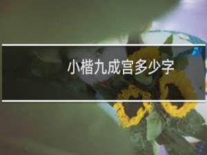 小楷九成宫多少字