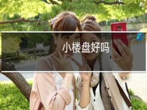 小楼盘好吗