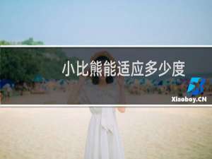 小比熊能适应多少度