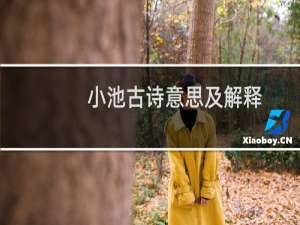 小池古诗意思及解释（小池古诗意思）