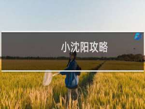小沈阳攻略