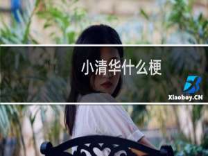 小清华什么梗