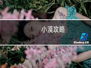 小漠攻略