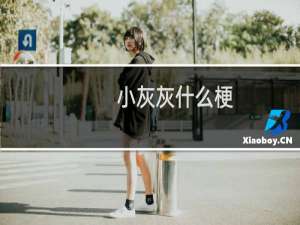 小灰灰什么梗