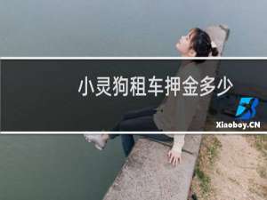 小灵狗租车押金多少