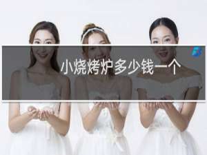 小烧烤炉多少钱一个