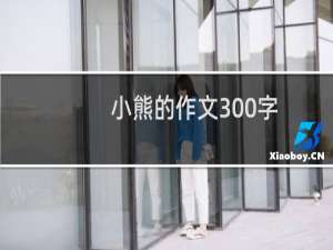 小熊的作文300字
