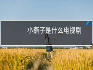 小燕子是什么电视剧