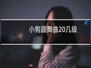小狗圆舞曲 几级