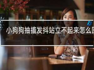 小狗狗抽搐发抖站立不起来怎么回事