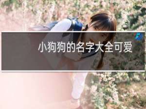 小狗狗的名字大全可爱（白色女狗取名推荐）