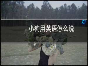 小狗用英语怎么说