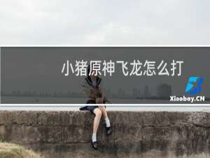 小猪原神飞龙怎么打