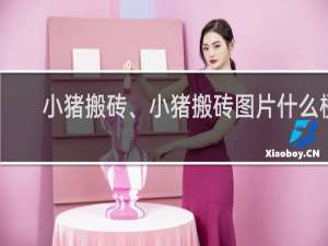 小猪搬砖、小猪搬砖图片什么梗
