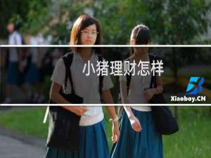 小猪理财怎样