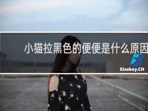 小猫拉黑色的便便是什么原因