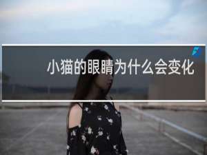 小猫的眼睛为什么会变化