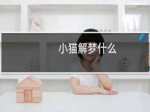 小猫解梦什么