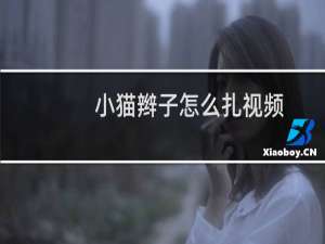 小猫辫子怎么扎视频