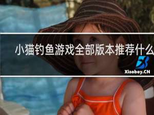 小猫钓鱼游戏全部版本推荐什么梗