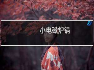 小电磁炉锅（小电磁炉）