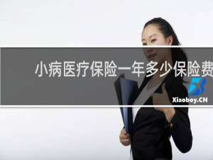 小病医疗保险一年多少保险费