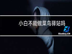 小白不能做菜鸟驿站吗