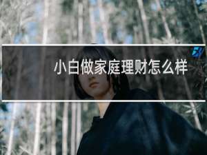 小白做家庭理财怎么样