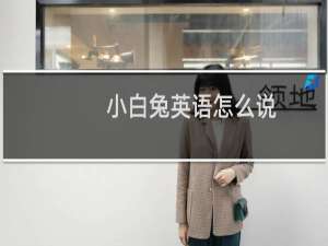 小白兔英语怎么说