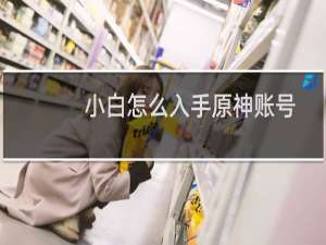 小白怎么入手原神账号
