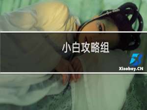 小白攻略组