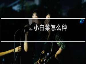 小白菜怎么种