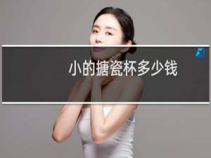 小的搪瓷杯多少钱