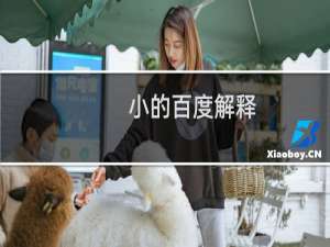 小的百度解释